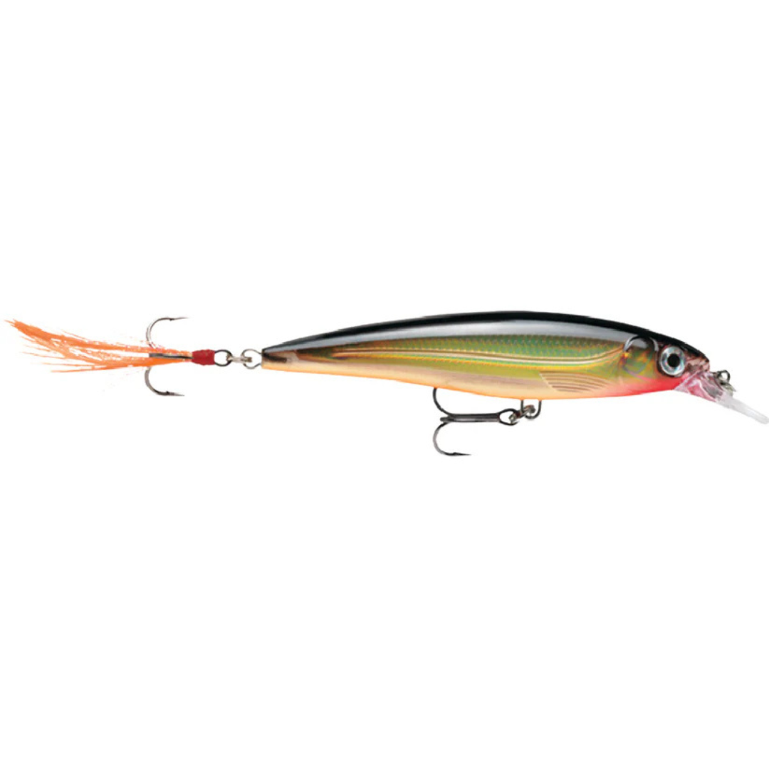 RAPALA X-RAP XR-10 10CM