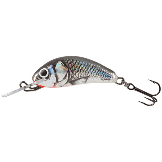 SALMO HORNET 2.5CM SINKING