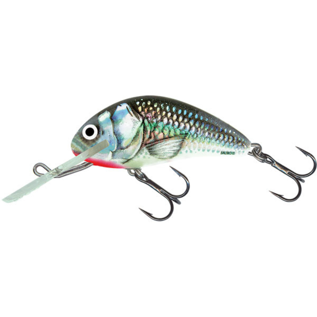 SALMO HORNET 4CM FLOATING