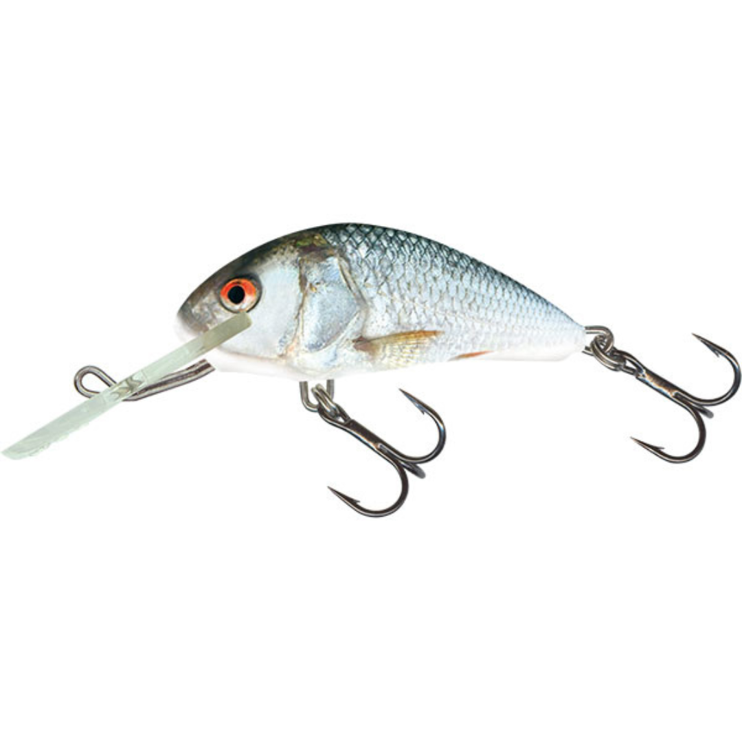 SALMO HORNET 4CM FLOATING