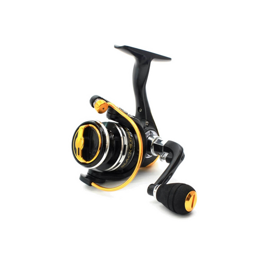 PIONEER BLACK SPIDER