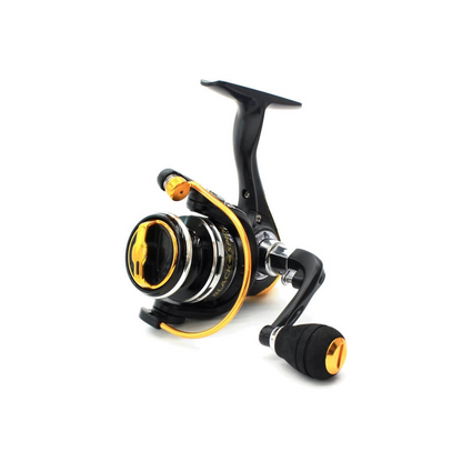 PIONEER BLACK SPIDER
